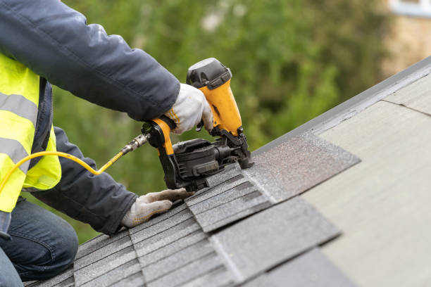 Best Solar Panel Roofing Installation  in Homedale, ID