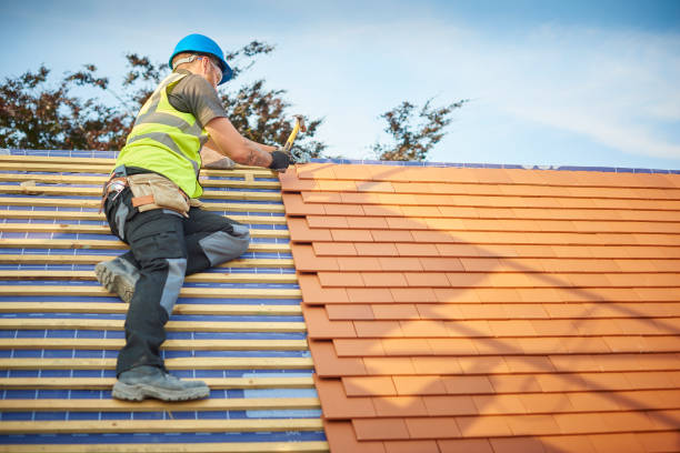 Best Gutter Replacement  in Homedale, ID